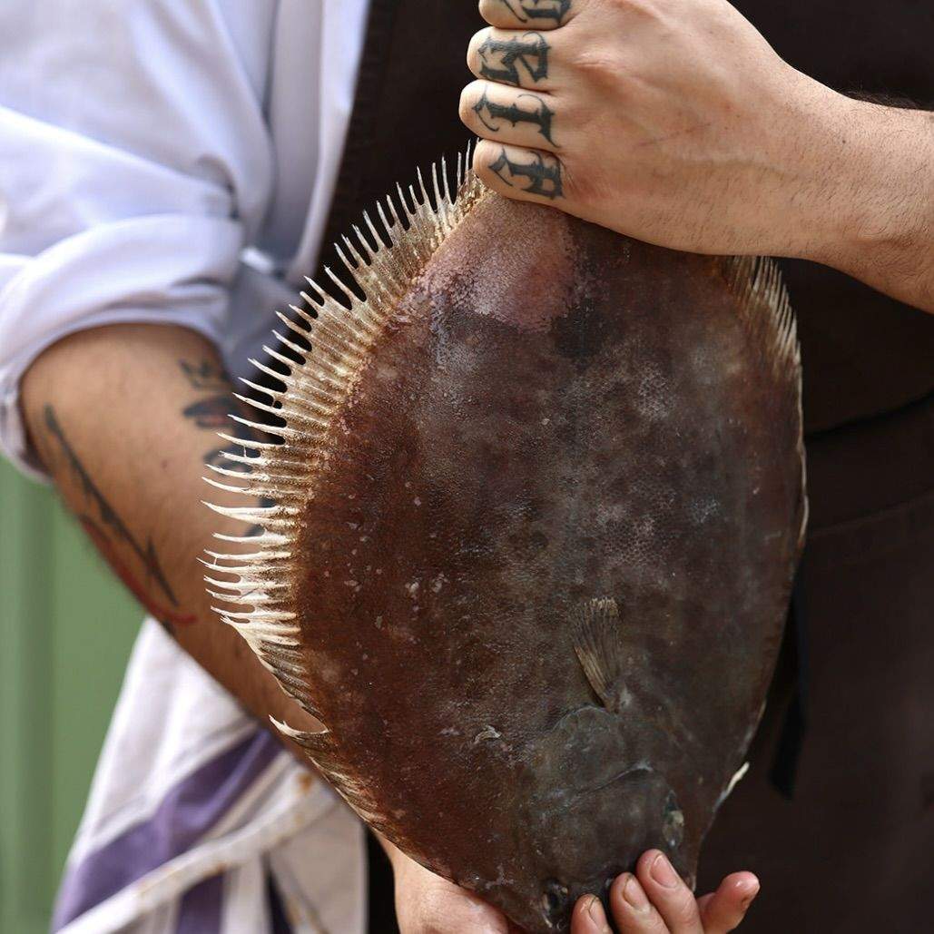 produits, pêche locale, terroir varois, 